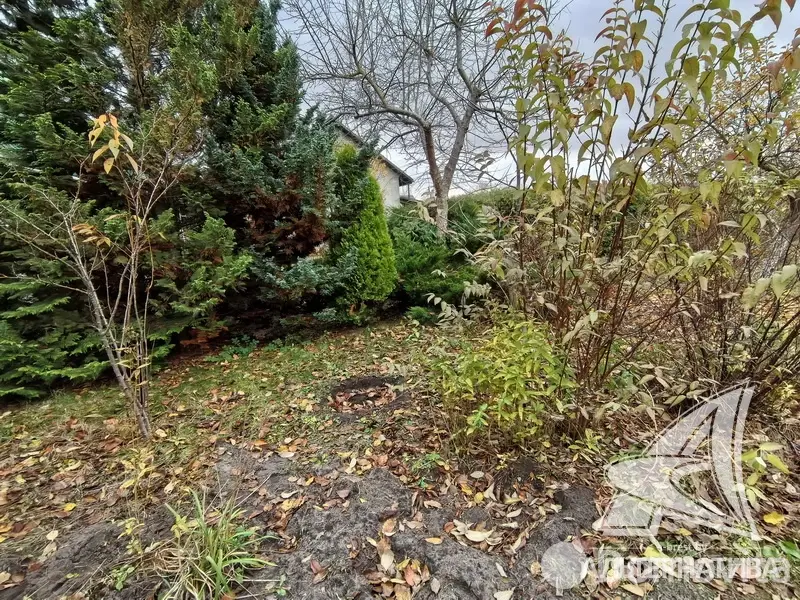 Продажа 1-этажной дачи в Машиностроитель Брестская область, 42000USD, код 184448 - фото 17