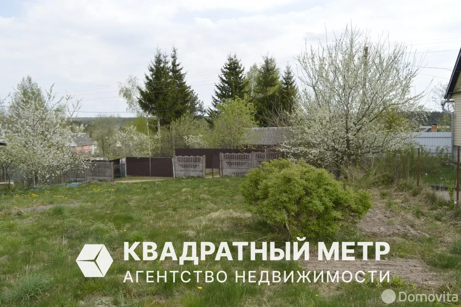 участок, Медик,