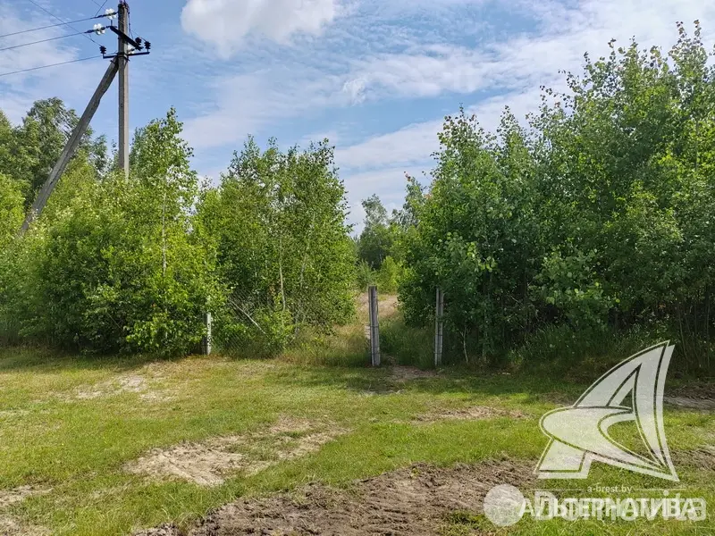 Купить земельный участок, 6.73 соток, Березка, Брестская область, 10500USD, код 570878 - фото 5