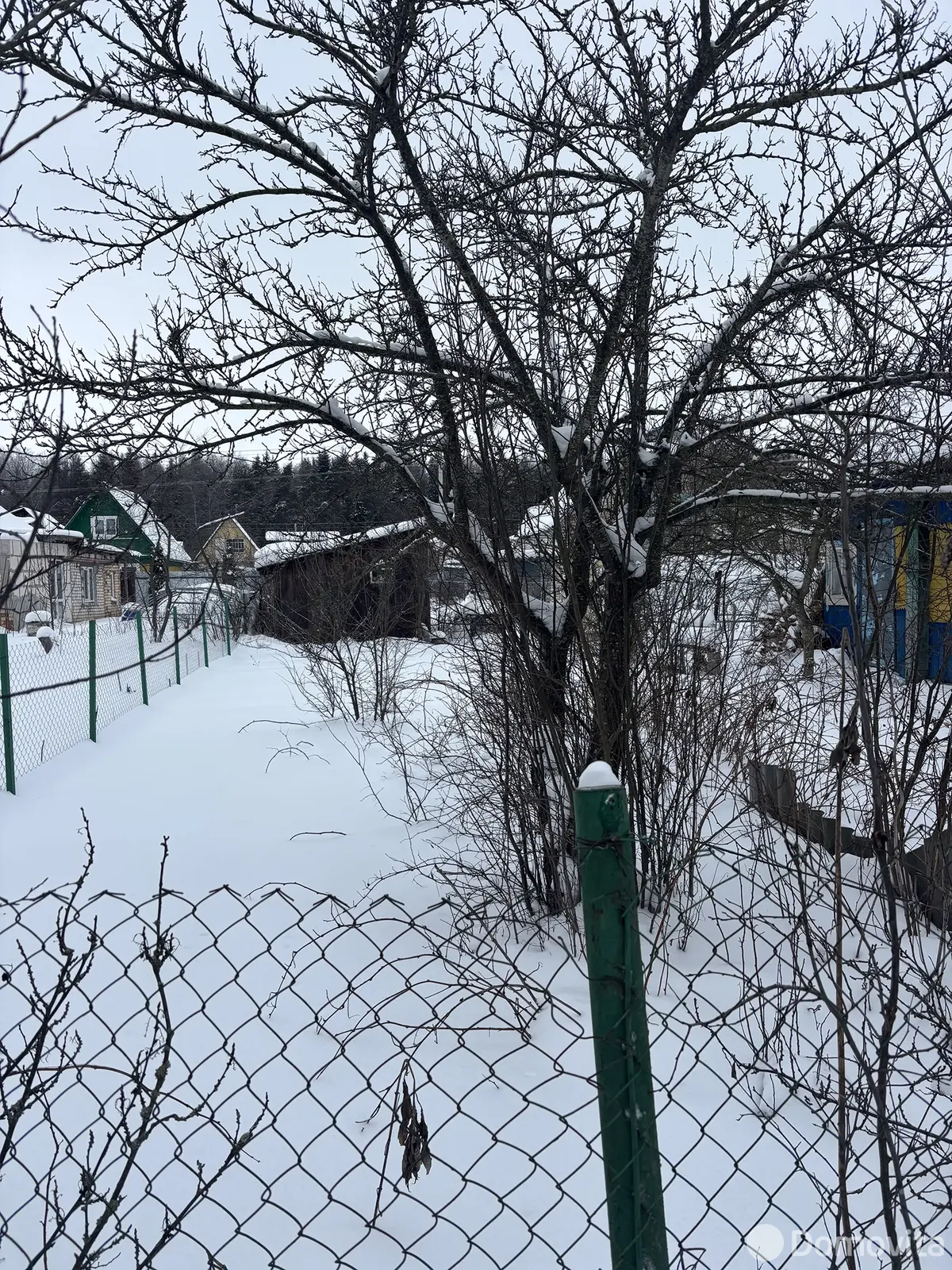 Купить 1-этажную дачу в Электротехник Минская область, 5800USD, код 184887 - фото 15