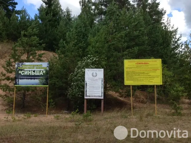 Купить земельный участок, 25 соток, Заборье, Витебская область, 25000BYN, код 571620 - фото 14