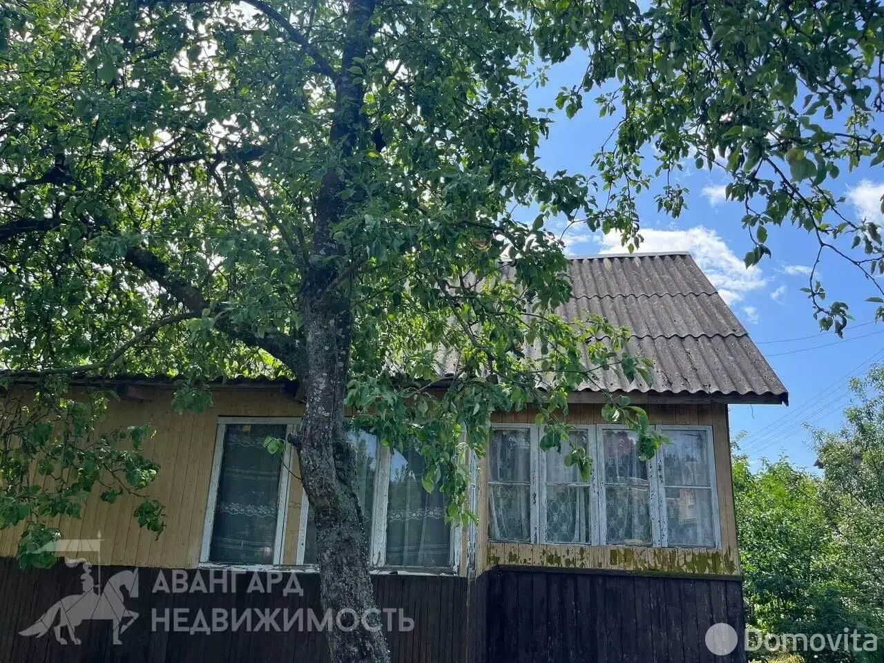 Цена продажи дачи, Шарик, 
