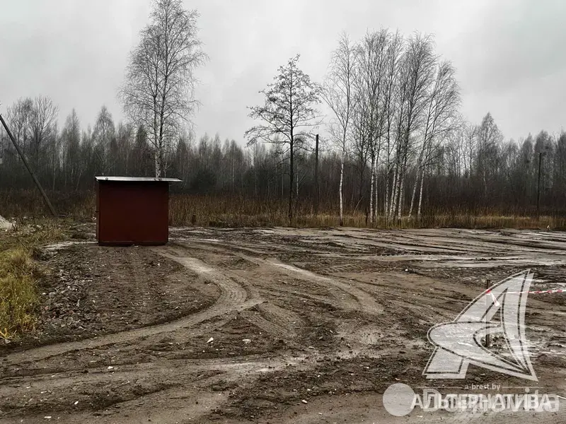 Купить земельный участок, 5 соток, Урожай ОАО Брестхлебопродукт, Брестская область, 10500USD, код 571353 - фото 1