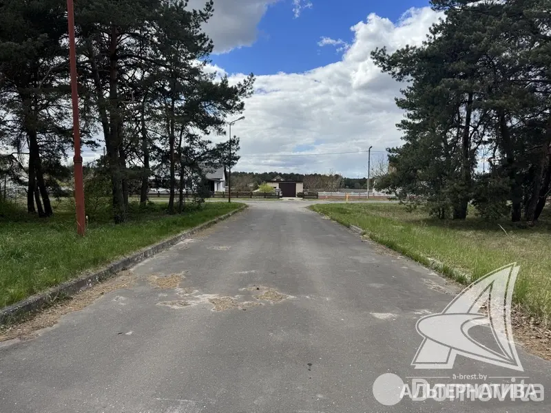 объект сферы услуг, Томашовка, 