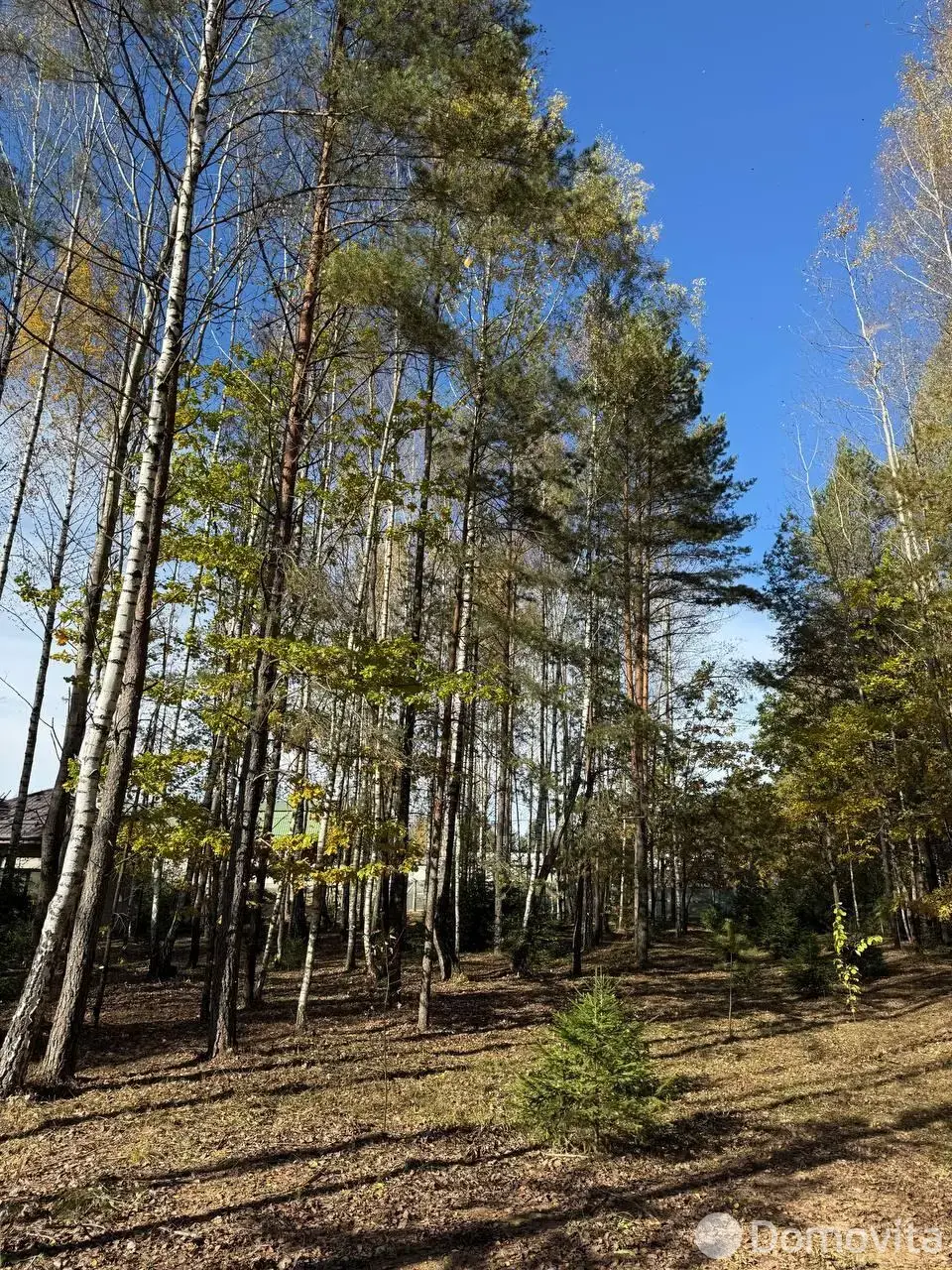 Стоимость продажи участка, Колодищи, ул. Алмазная