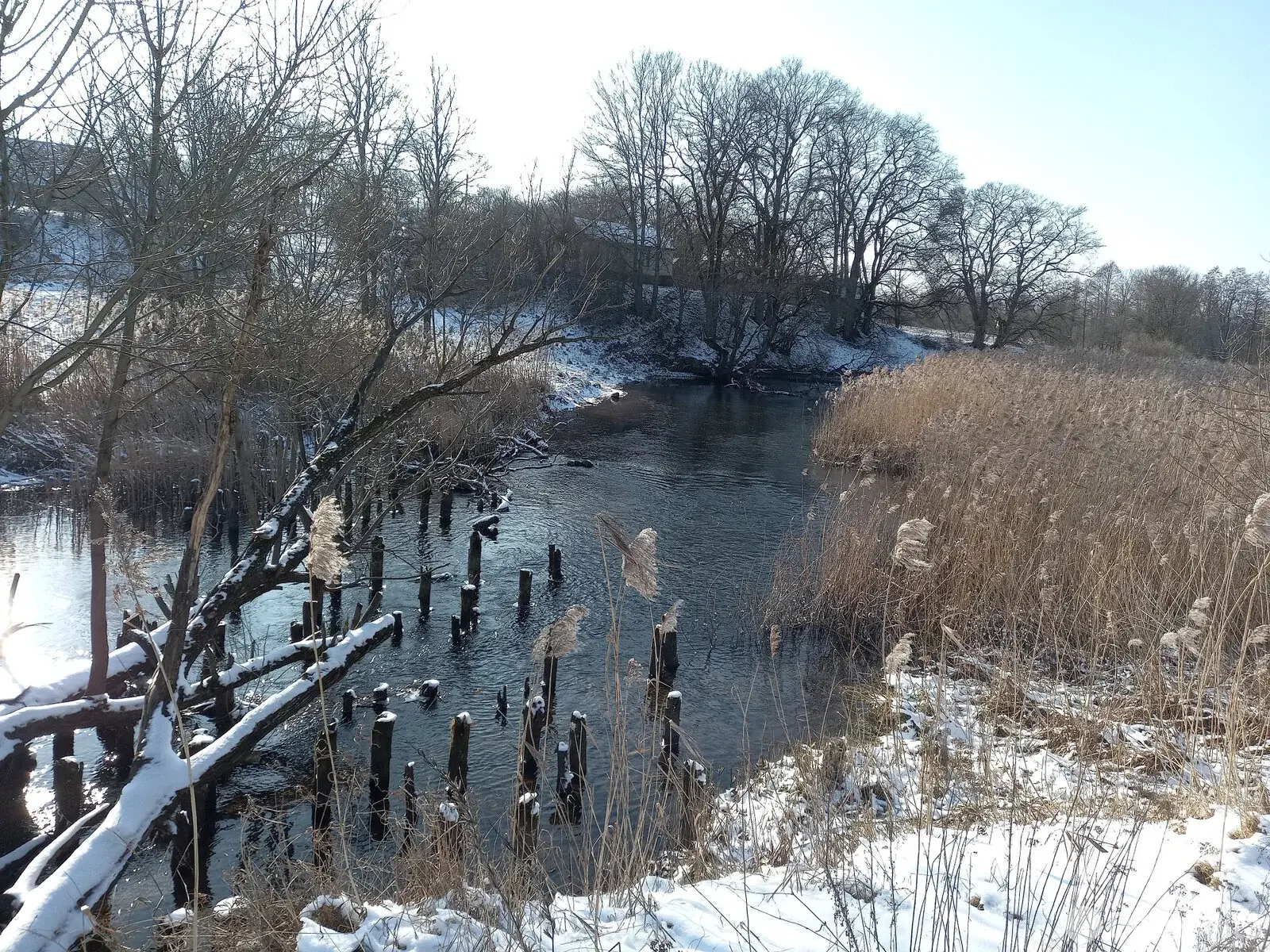 Цена продажи дома, Двор-Гомель, ул. Школьная, д. 6