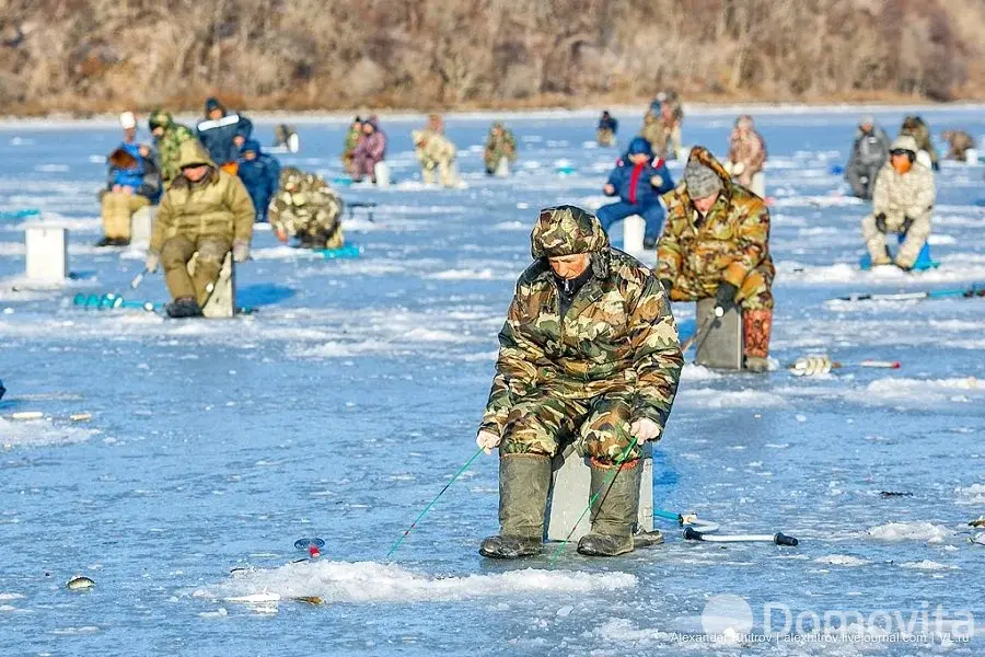 Аренда коттеджа Гостевой дом 