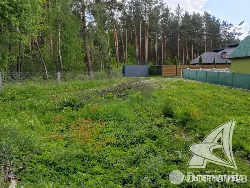 Купить 2-этажную дачу в Березовая роща-87 Брестская область, 59000USD, код 182777 - фото 17