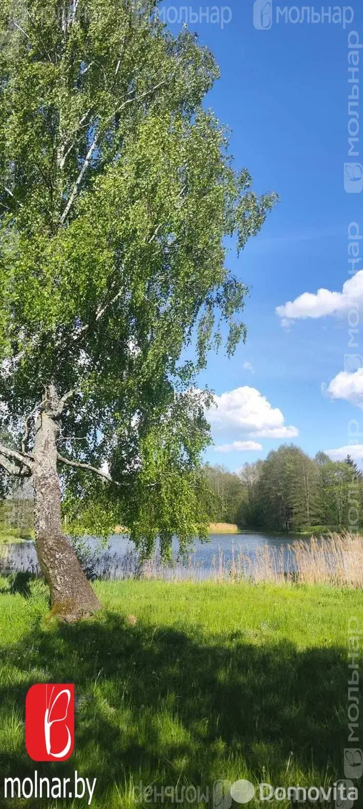 дача, ЛЕСНОЕ-ЛИВЬЕ, 