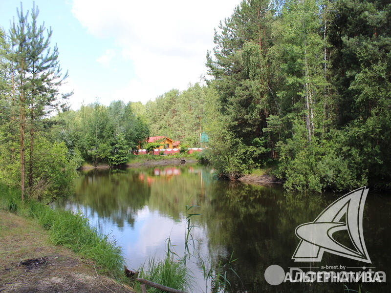 Продажа 2-этажной дачи в Лира-5 Брестская область, 12500USD, код 178113 - фото 14