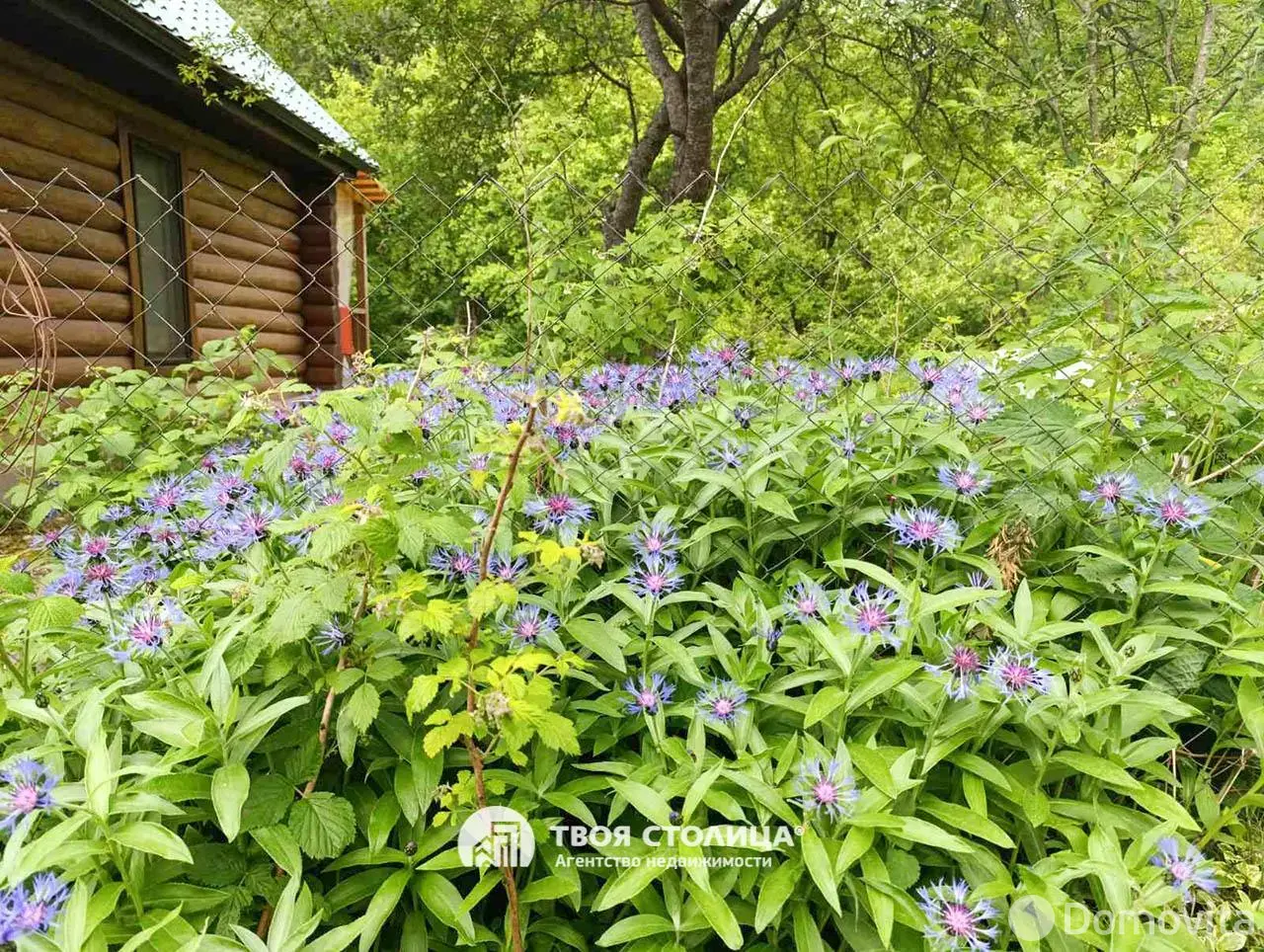 Продажа 2-этажной дачи в ПЕРЕЛЕСОК Минская область, 49888BYN, код 186071 - фото 28