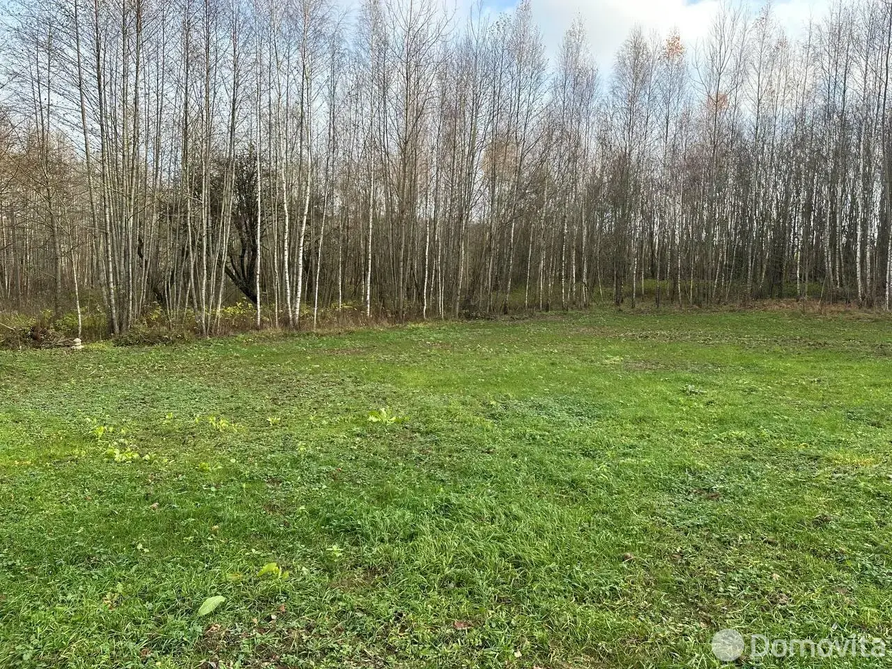 дом, Рудевщина, ул. Центральная, д. 13