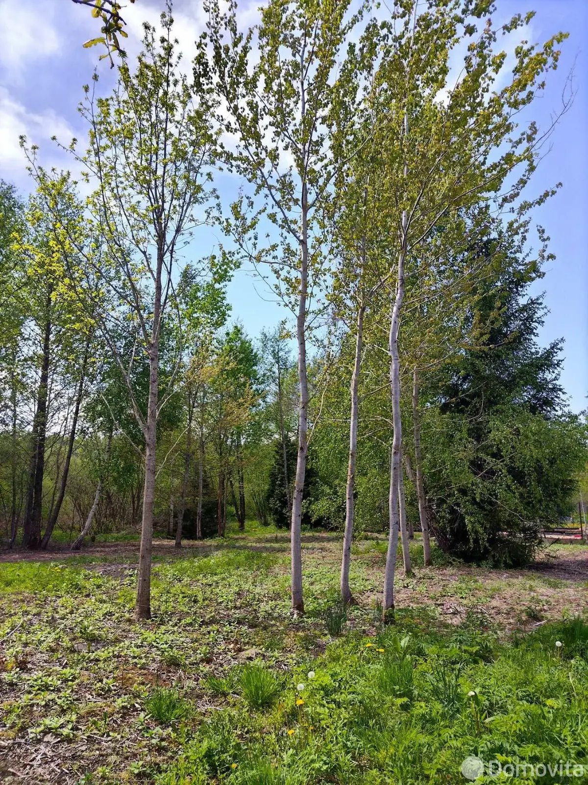 Продажа 1-этажной дачи в Латушках Витебская область, 45000BYN, код 186207 - фото 15
