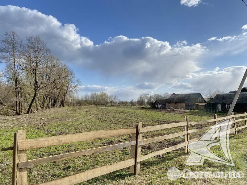 Купить земельный участок, 25 соток, Новосады, Брестская область, 17700USD, код 558035 - фото 12