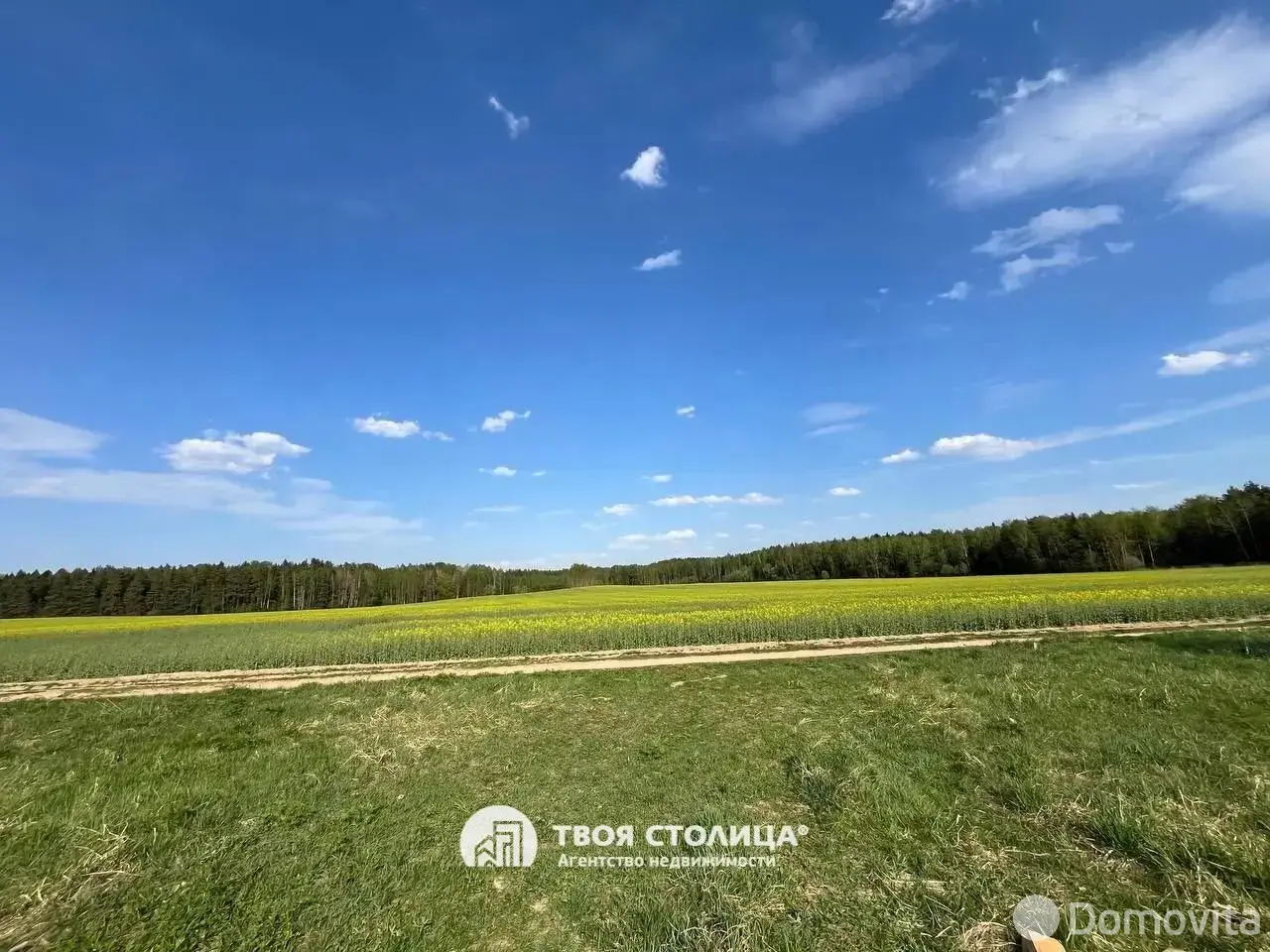 дача, Лесное, , стоимость продажи 101 772 р.