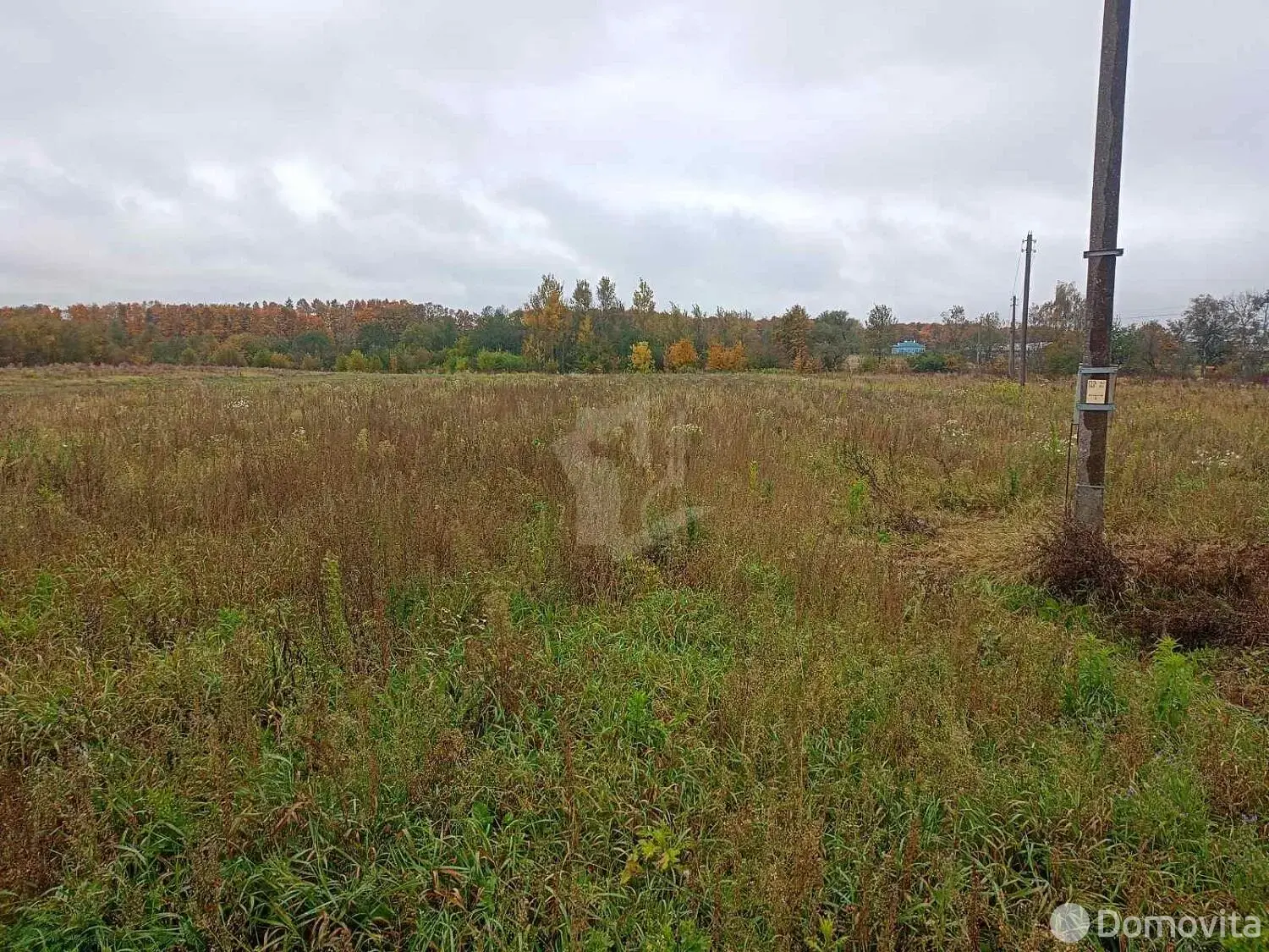 участок, Самохваловичи, - лучшее предложение