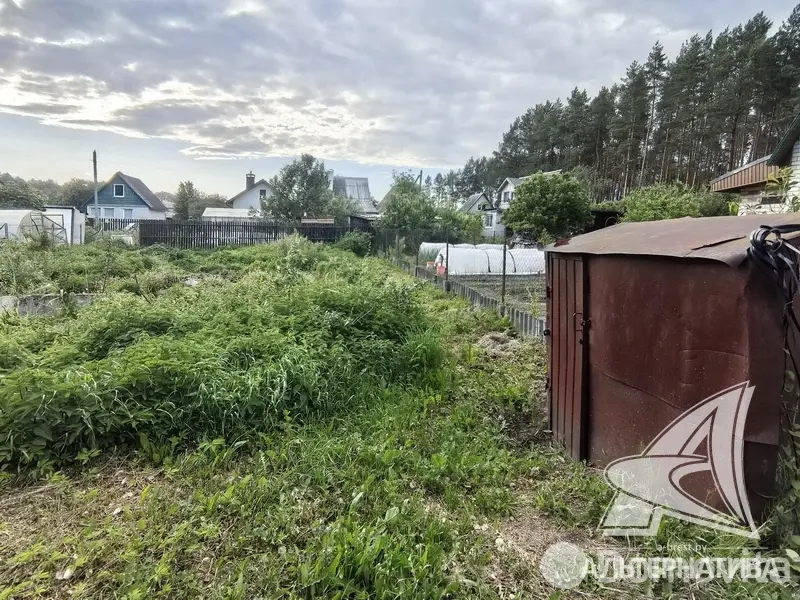 Купить земельный участок, 3.22 соток, Урожай ОАО Брестхлебопродукт, Брестская область, 15125BYN, код 572007 - фото 3