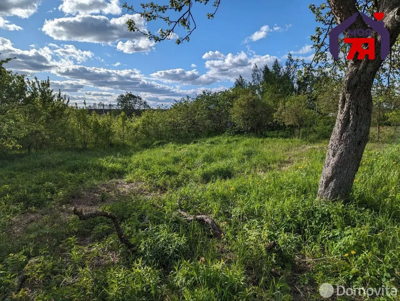 дом, Карпиловка, ул. Центральная, стоимость продажи 99 291 р.