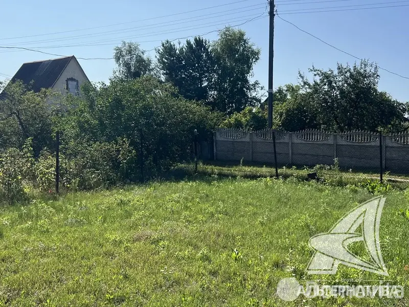 Купить земельный участок, 4.89 соток, Буревестник-86, Брестская область, 44950BYN, код 572358 - фото 17