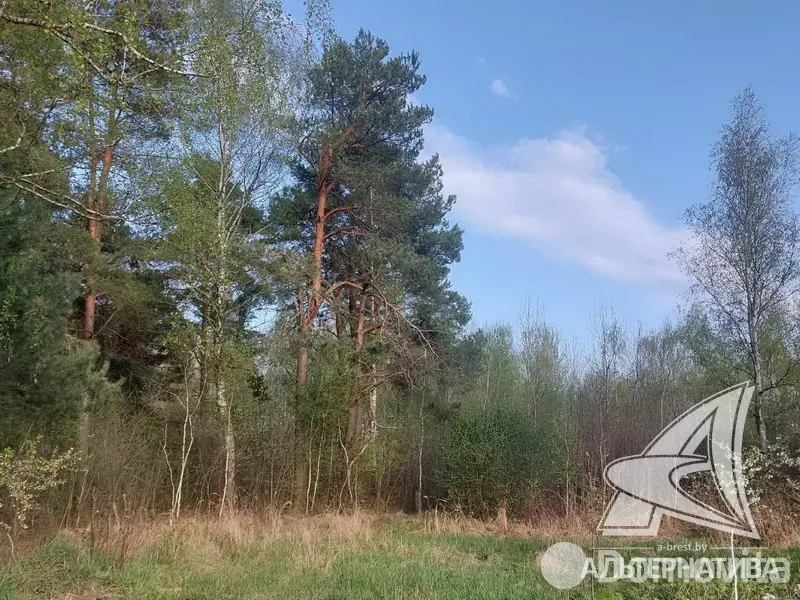 Купить 2-этажную дачу в Строитель Брестская область, 14900USD, код 182405 - фото 18