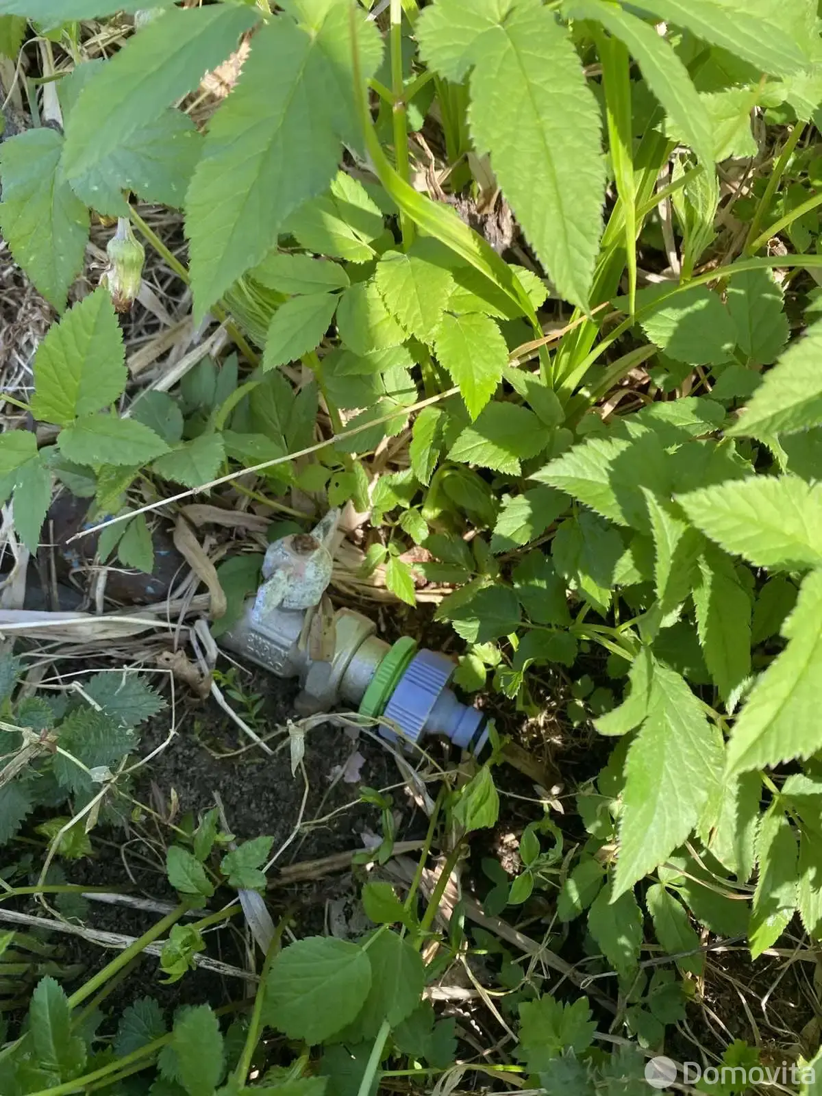 Купить земельный участок, 6 соток, ВЕРАС-1987, Минская область, 3200USD, код 570584 - фото 14