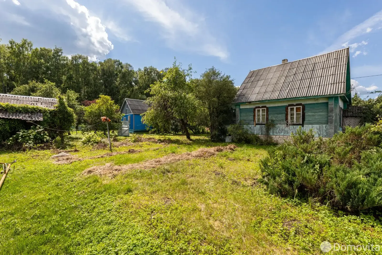 дача, Тарасик, 