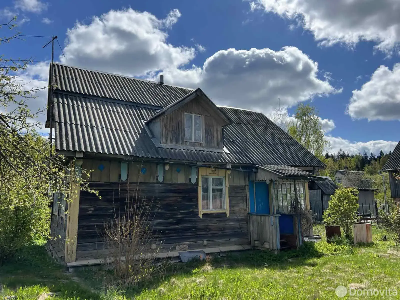 дача, Зелёный экспресс, 