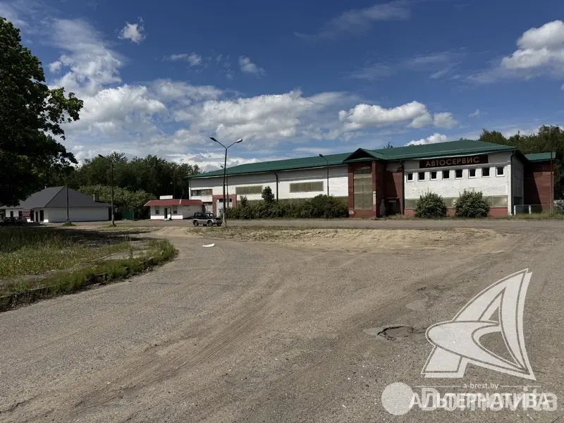Купить помещение под сферу услуг в Борисово, - фото 13