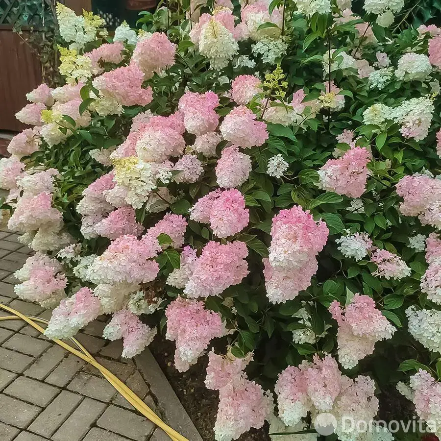 Продажа 1-этажной дачи в Дарьюшка Минская область, 42000USD, код 184390 - фото 21