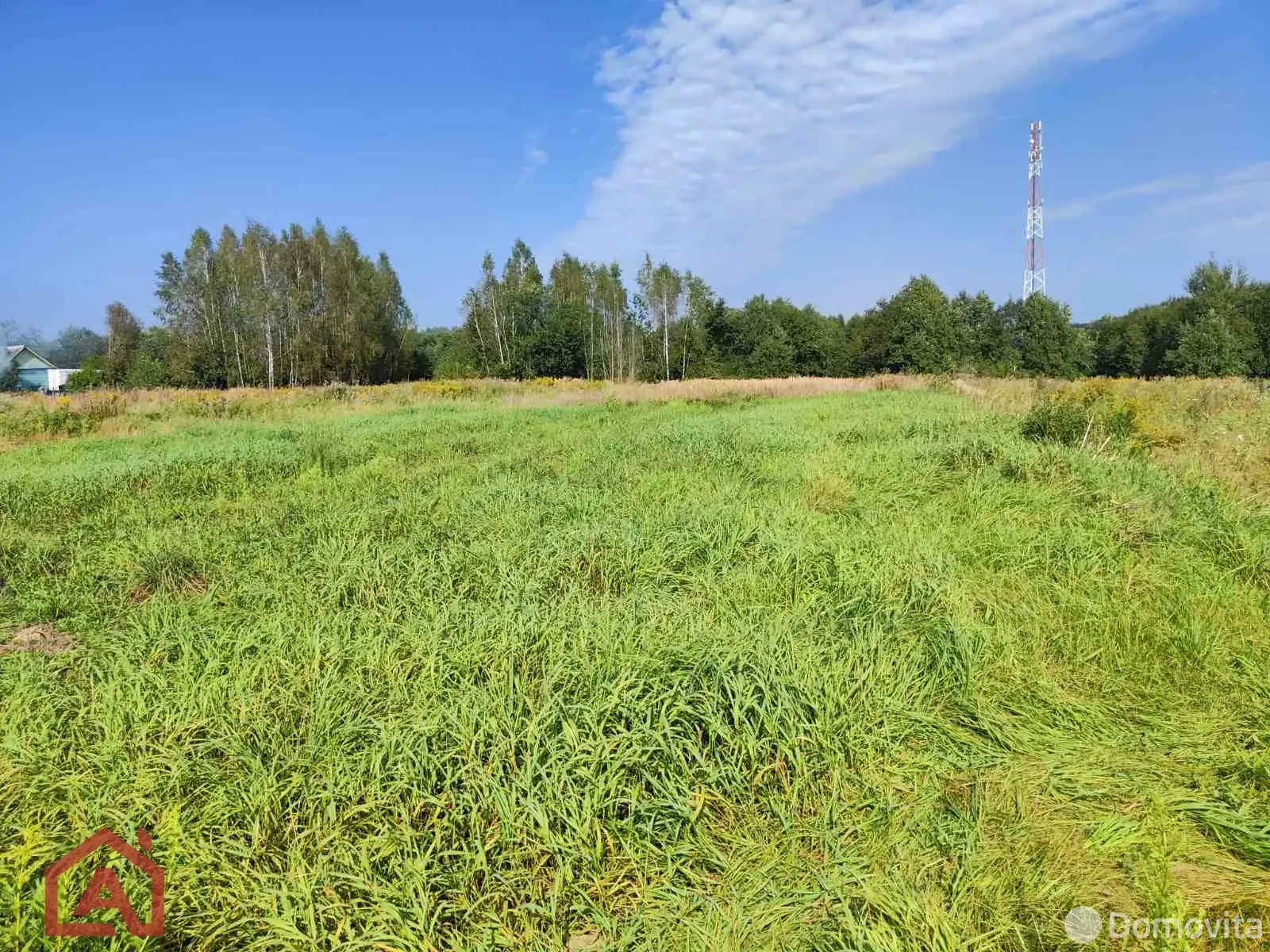 участок, Приселки, ул. Центральная, д. 9 