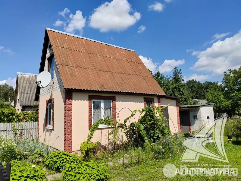 дача, Ивушка-91, 