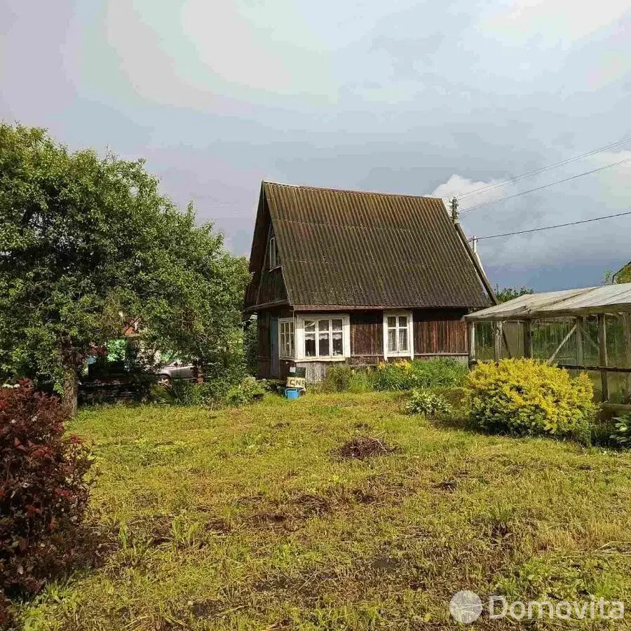 дача, Цветовод-2008, 