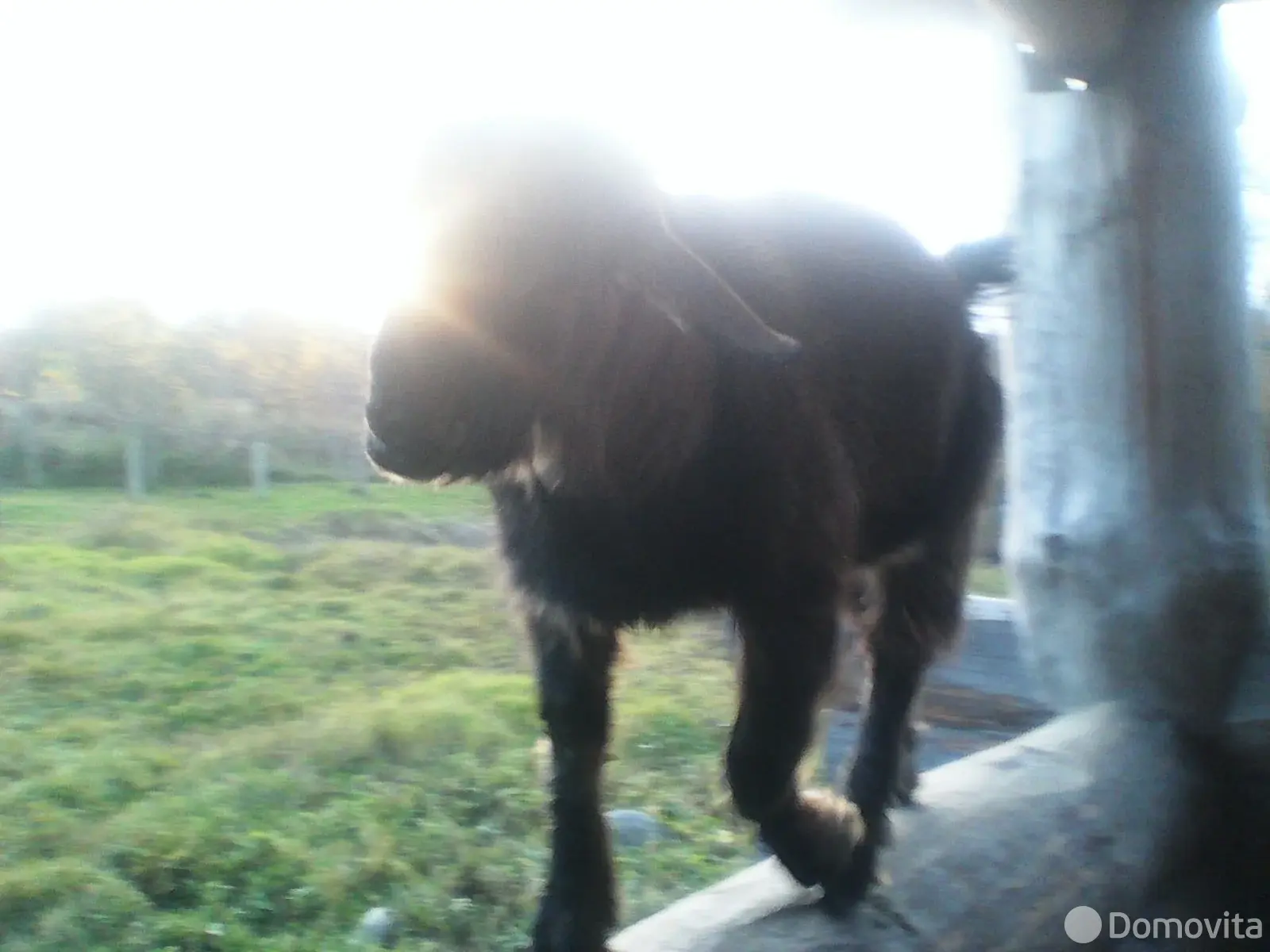 дом, Ольсевичи, - лучшее предложение