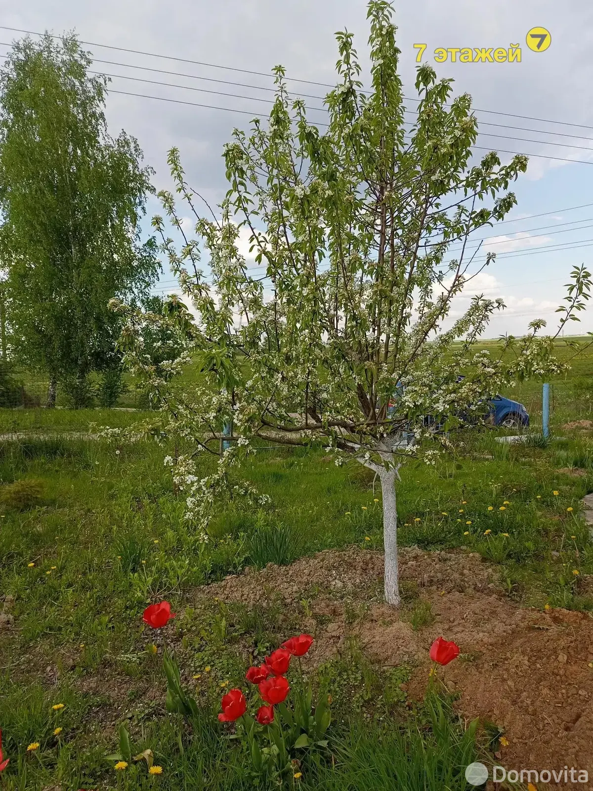 Купить 1-этажную дачу в Вишневый сад Минская область, 10000USD, код 178393 - фото 44
