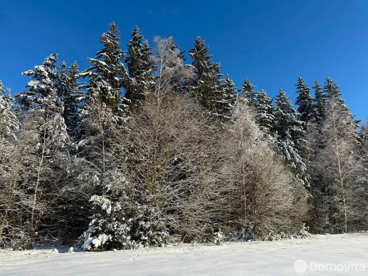 Купить земельный участок, 15 соток, Каралино, Минская область, 65000USD, код 571590 - фото 15