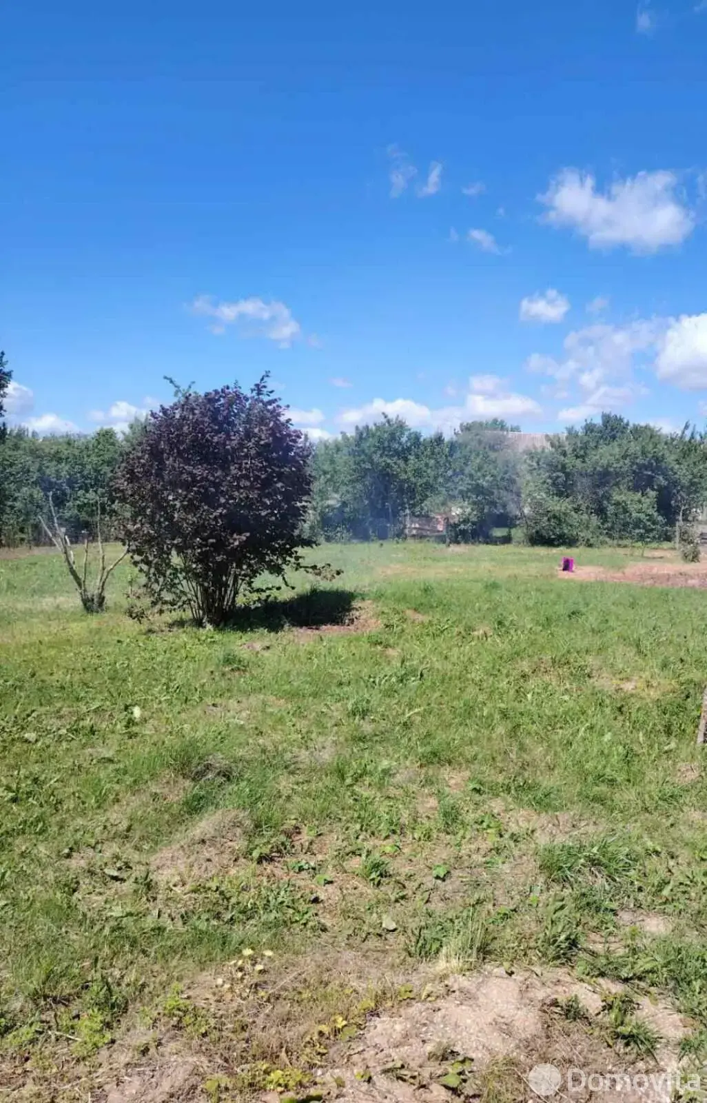 участок, Вишневка, ул. Вишнёвая