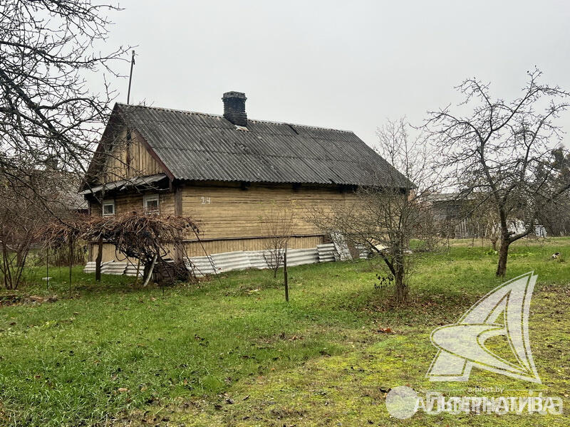 Купить земельный участок, 25 соток, Урожай ОАО Брестхлебопродукт, Брестская область, 57000USD, код 568765 - фото 3