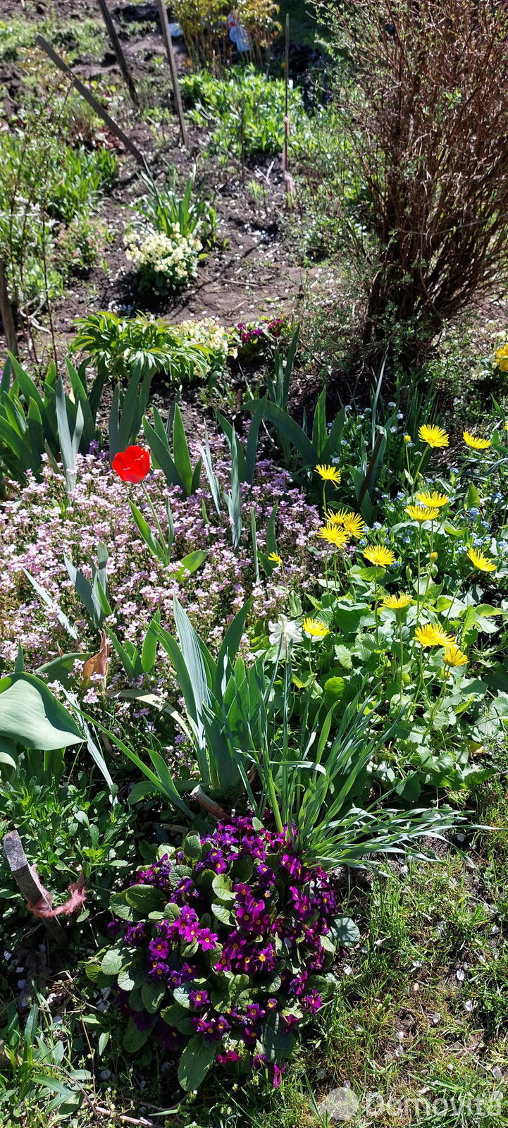 Купить 2-этажную дачу в Солигорске Минская область, 6900USD, код 182565 - фото 14