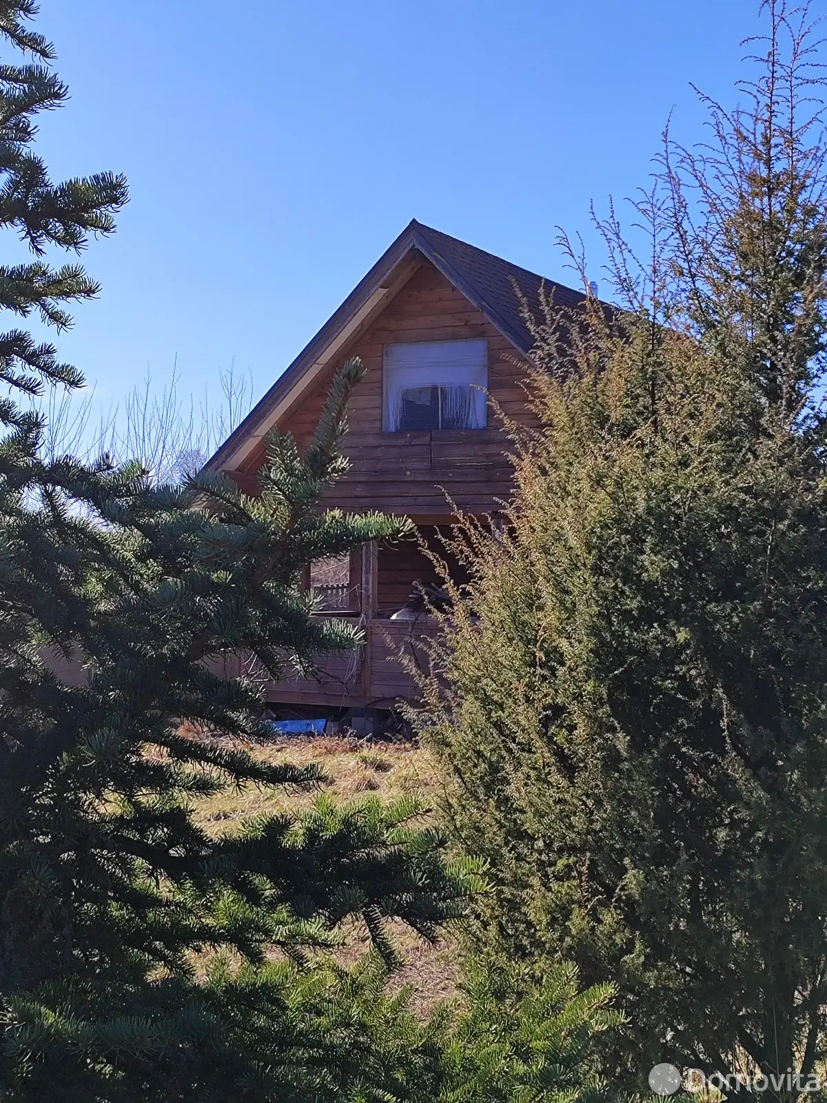 дом, Петровичи, ул. Школьная