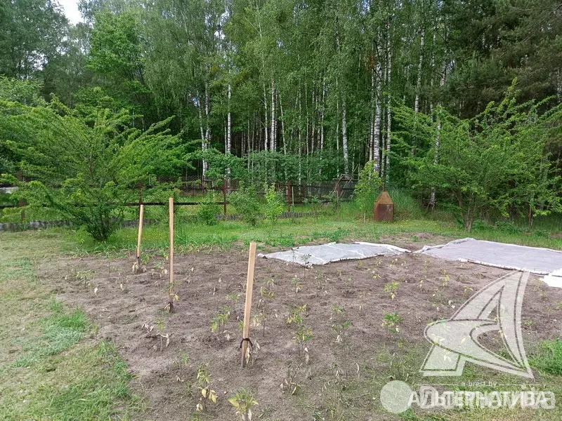 Купить земельный участок, 6.97 соток, Журавинка-83, Брестская область, 11500USD, код 570456 - фото 11