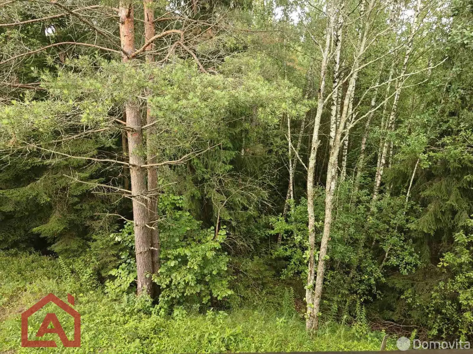 Стоимость продажи участка, Мончаки, ул. Лесная