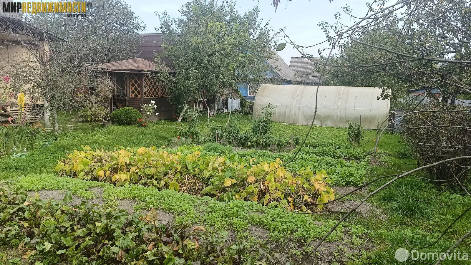 дача, Елочка, 