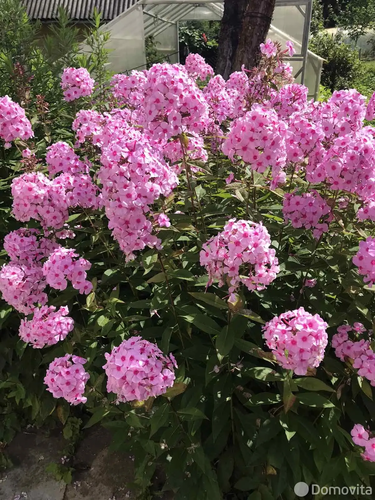 Продажа 3-этажной дачи в МЕДТЕХНИК Минская область, 14900USD, код 182578 - фото 28