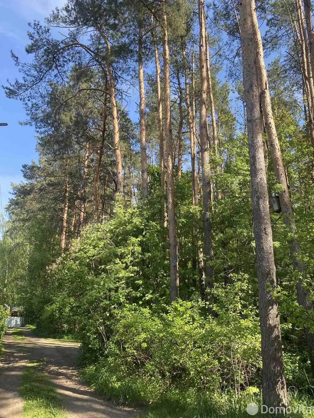 Купить 1-этажную дачу в Ветеран войны Минская область, 150000BYN, код 186543 - фото 20
