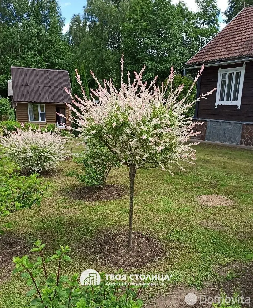 Купить 1-этажную дачу в Березовая роща Минская область, 47000USD, код 185788 - фото 24