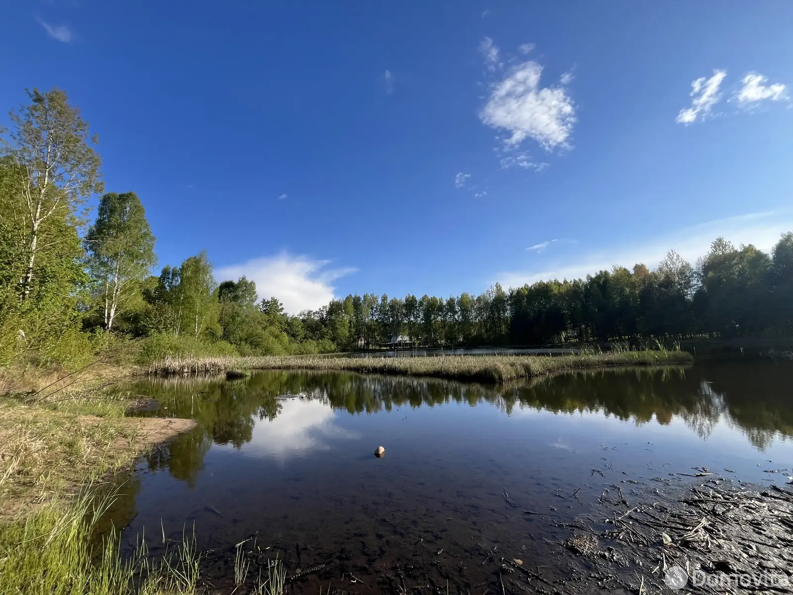участок, ЭЛЕКТРОНИКА, 