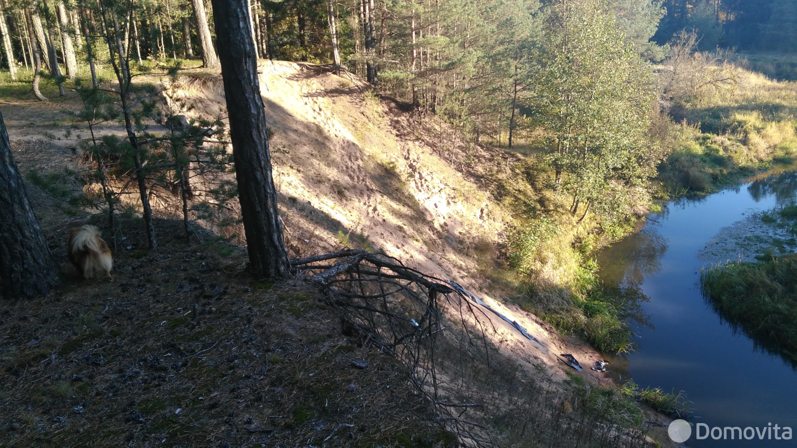 участок, Свядица, ул. Заречная, д. 2