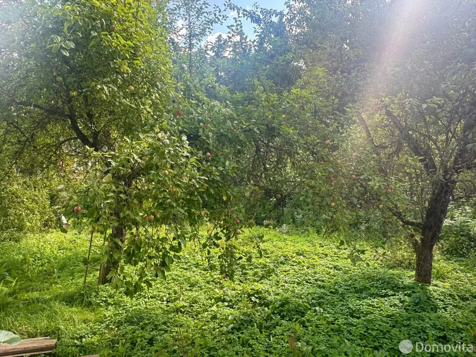 дача, Щеки-Лесное,