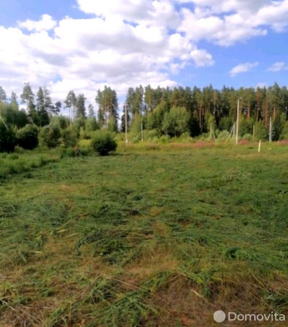 Купить земельный участок, 10.66 соток, Стрелец 2014, Минская область, 23000USD, код 568167 - фото 3