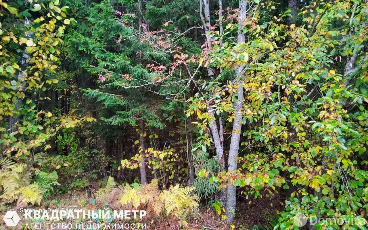 купить дачу, СЕКУНДА Минского часового завода, д. 259